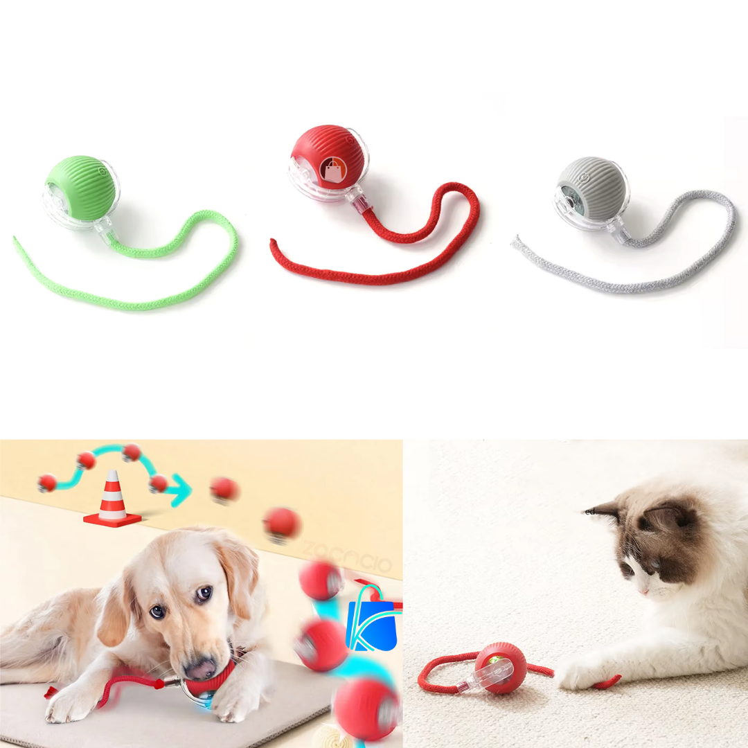 Pelota Interactiva Para Mascota Con Cola